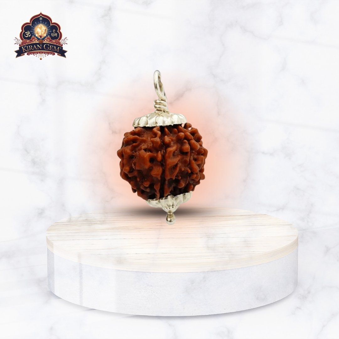 Rudraksha